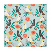 Paper Napkins |  Cockatoos | 20pc